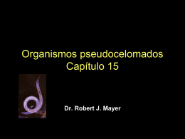 Organismos pseudocelomados Capítulo 15