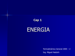 TERMO2005 CAP1- Energia Agosto 2005