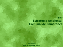 Diapositiva 1 - I. Municipalidad de Camarones