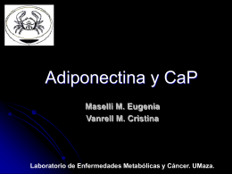 adiponectina_CaP