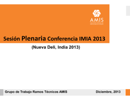 Conferencia IMIA 2013