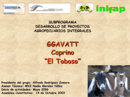 Toboso.2 - intranet fgp