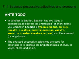 11.4 Stressed Possessive Adjectives and Pronouns