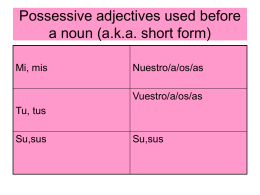 Possessive adjectives used before a noun (a.k.a. short form)