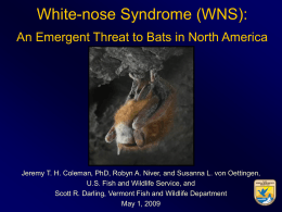 (WNS): An Emergent Threat to Bats in North - White