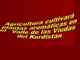 Agriculturá cultivará plantas en el Kurdistán.