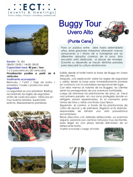 Buggy Tour Playa Macao