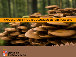 Presentación de los aprovechamientos micológicos en Palencia 2013