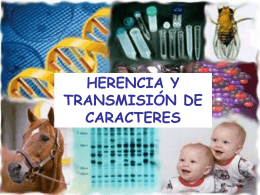 T2 HERENCIAYTRANSMISION DE CARACTERES