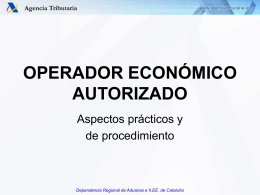 OEA.Aspectos practicos y de procedimiento