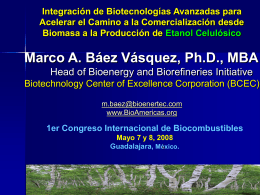 Marco A. Baez - Biotechnology Center of Excellence Corp Insumos