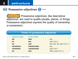 possessive adjectives ppt - Fort Thomas Independent Schools