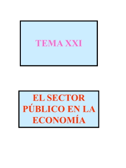 El Sector Público en la economía.