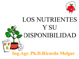 Distribución del agua, nutrientes y raíces en el suelo