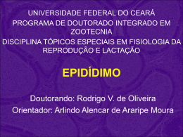 epidídimo - Universidade Federal do Ceará