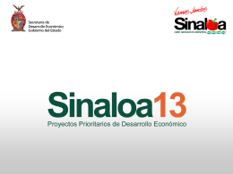 Sinaloa 13