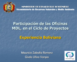 Participación de Oficinas MDL en el Ciclo de Proyectos dentro del