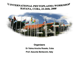 II International Phytoplasma Workshop