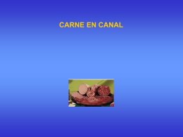 CARNE EN CANAL (2333184)