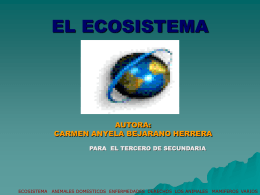 ecosistema - Página principal
