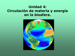 Unidad 4: Circulación de materia y energía en la