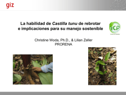 Habilidad - Agenda Forestal Hondureña