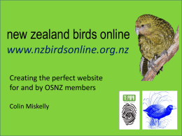new zealand birds online www.nzbirdsonline.org.nz