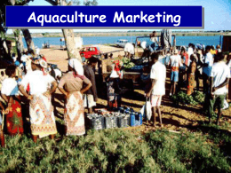Aquaculture Marketing Opening Comments