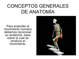 CONCEPTOS GENERALES DE ANATOMÍA