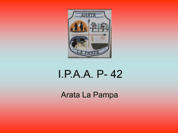 I.P.A.A. P-42