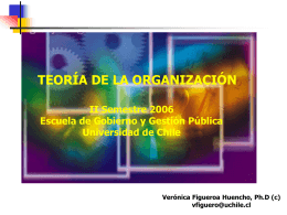 Clase XIII Teoría de La Organización (Figueroa)
