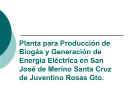 Planta para Producción de Biogás y Generación de Energía