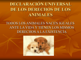 Declaración Universal de los Derechos de los Animales
