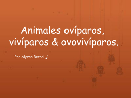 Animales ovíparos, vivíparos & ovovivíparos. - tecnologias