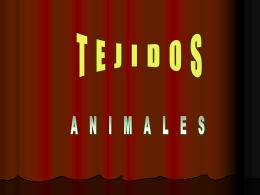 TEJIDOS ANIMALES (presentación)