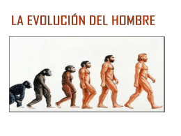 Evolución humana - Colegio Humberstone