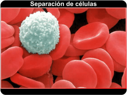 Separación de células Separación de células Separación de