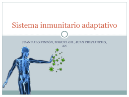 Sistema inmunitario adaptativo