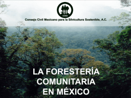 Consejo Civil Mexicano para la Silvicultura Sostenible, AC LA