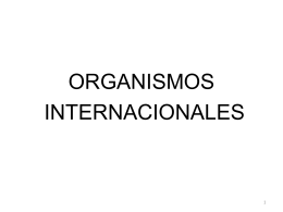 Organismos Internacionales - Fundación Buenos Aires XXI