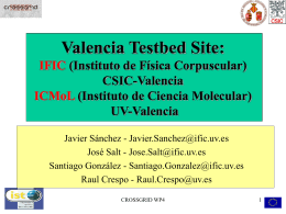 Valencia Testbed Site - IFIC