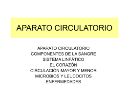 APARATO CIRCULATORIO
