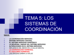 TEMA 5: LOS SISTEMAS DE COORDINACIÓN