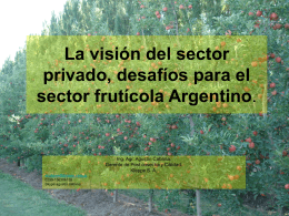 05. Vision sector Privado