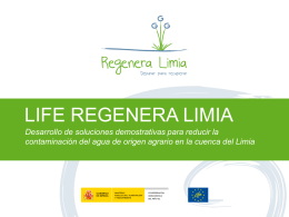 life regenera limia