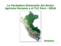 La Verdadera Dimension del Sector Agricola Peruano y el