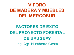 Forestación en Uruguay