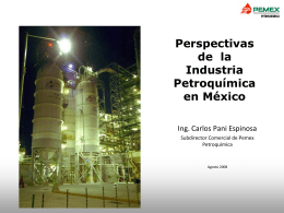 Perspectivas de la Industria Petroquímica en México