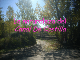 La naturaleza del Canal De Castilla
