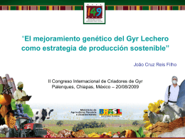 Gyr Lechero! - Asociación Mexicana de Criadores de Cebú